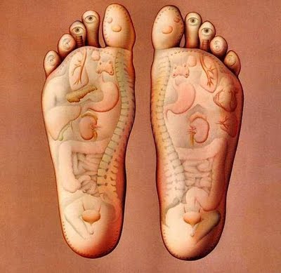 feet-and-body-organs