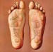 feet-and-body-organs